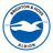 Brighton & Hove Albion Logo